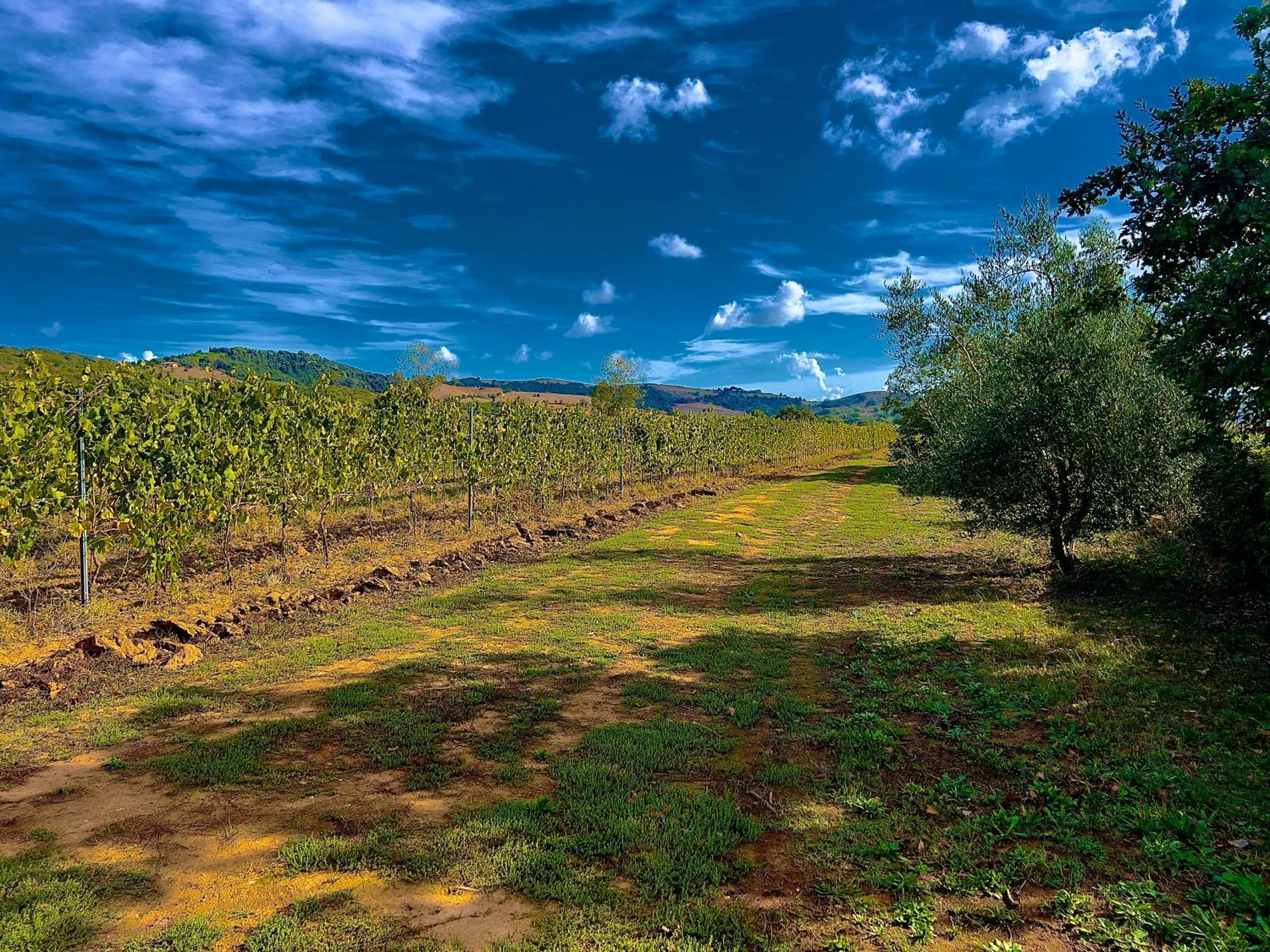 Carpine Agriturismo Bio In Maremma Alberese Exterior photo