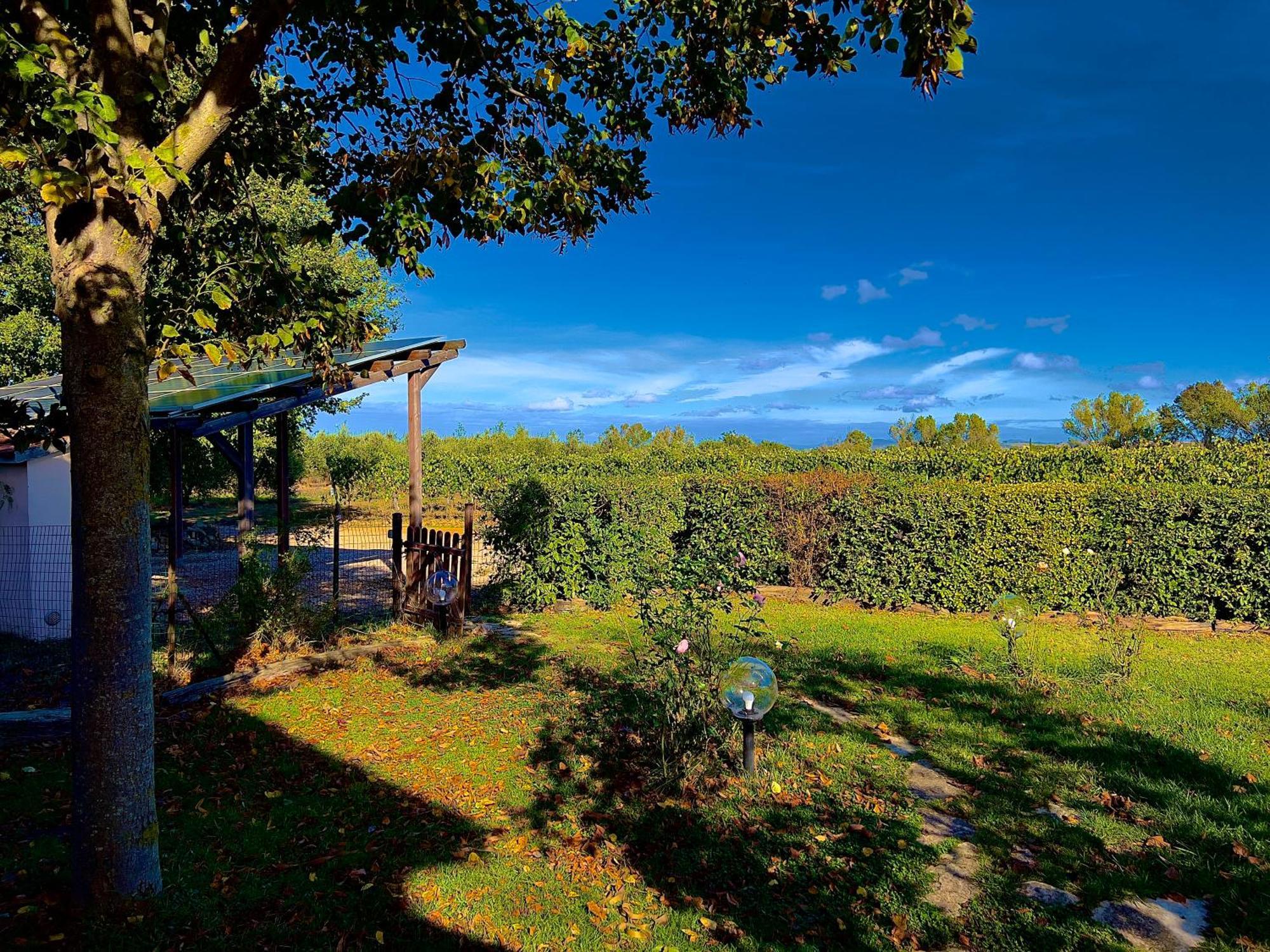 Carpine Agriturismo Bio In Maremma Alberese Exterior photo