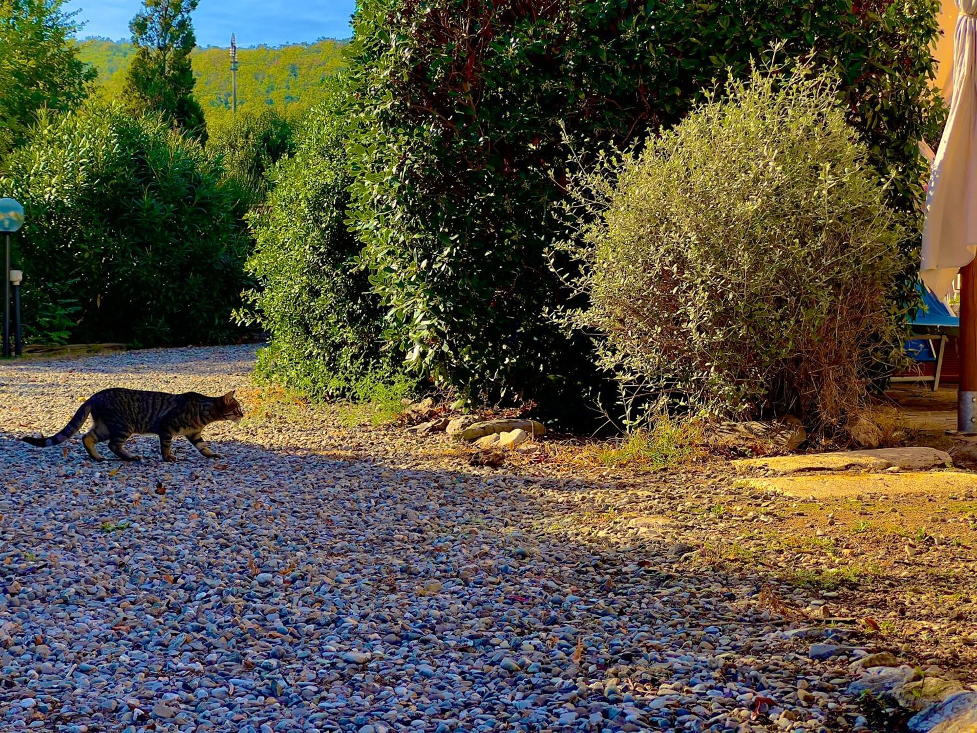 Carpine Agriturismo Bio In Maremma Alberese Exterior photo