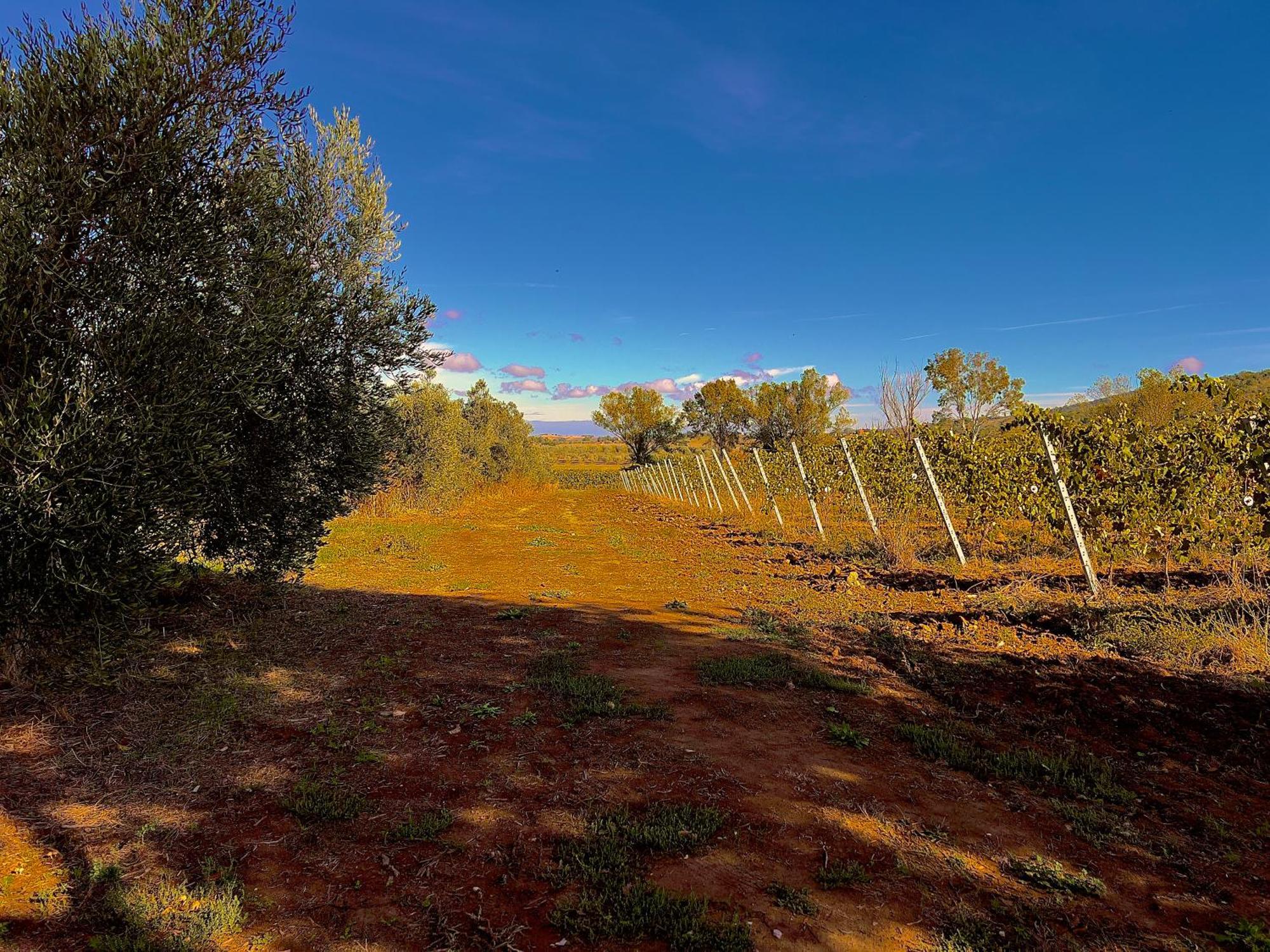 Carpine Agriturismo Bio In Maremma Alberese Exterior photo