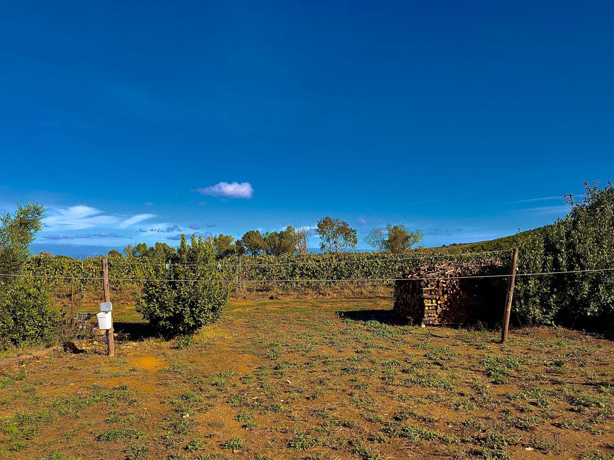 Carpine Agriturismo Bio In Maremma Alberese Exterior photo