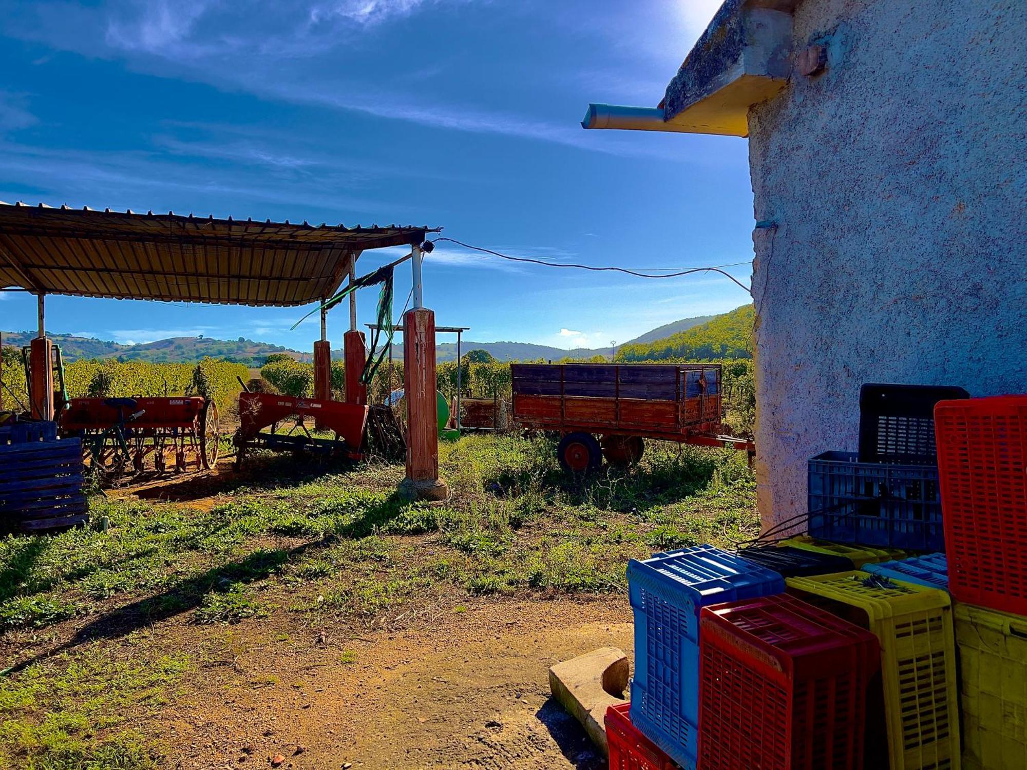 Carpine Agriturismo Bio In Maremma Alberese Exterior photo