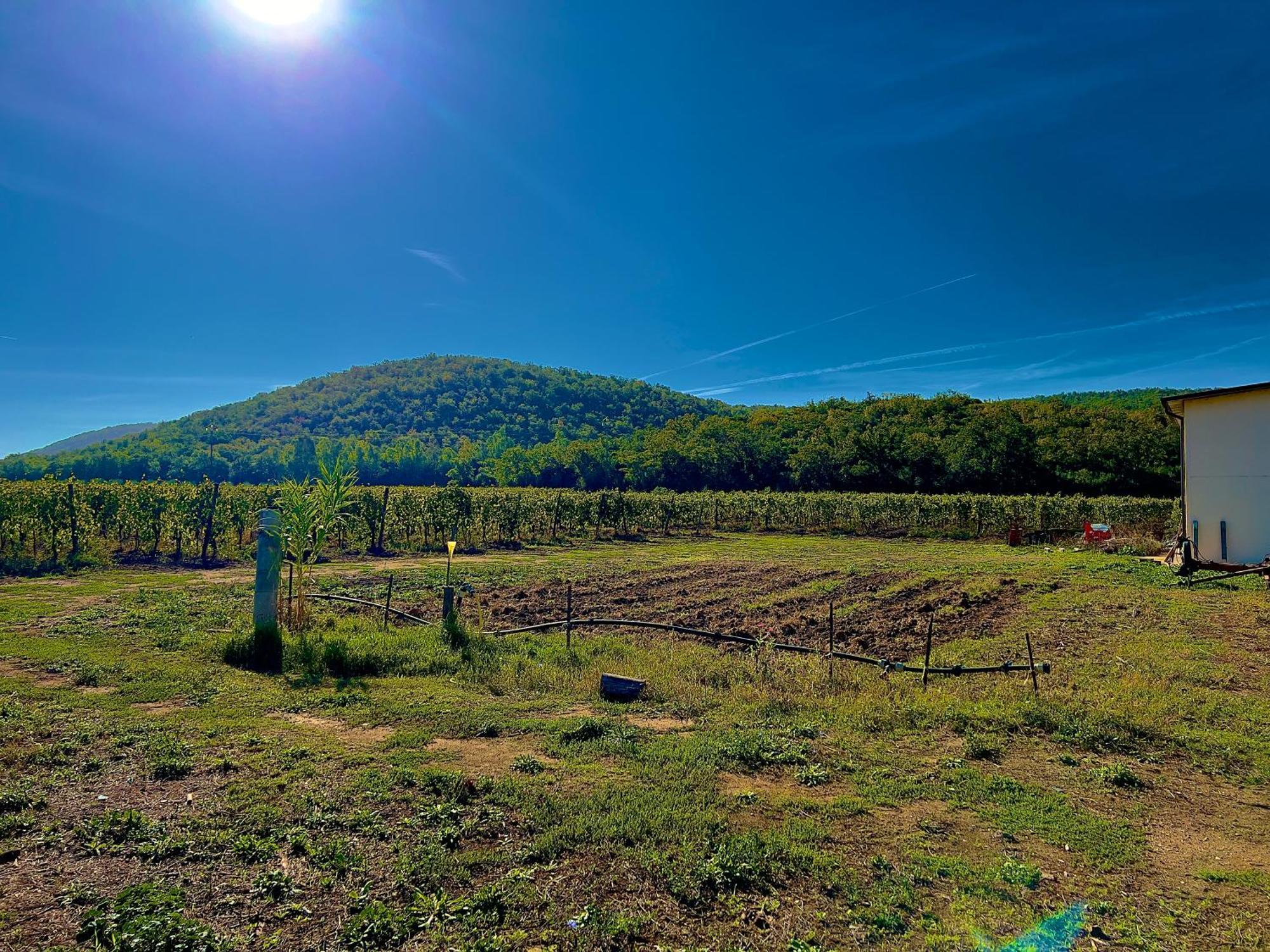 Carpine Agriturismo Bio In Maremma Alberese Exterior photo